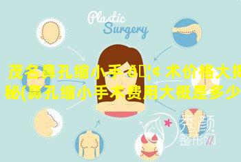 茂名鼻孔缩小手 🦢 术价格大揭秘(鼻孔缩小手术费用大概是多少)